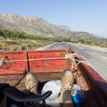 Tam się chce, bracie żyć