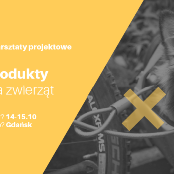 Warsztaty projektowania produktów dla zwierząt