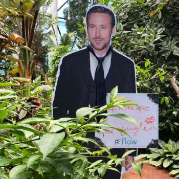 Olivia Garden – coworking w sercu dżungli